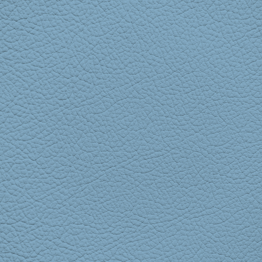 BMW Yas Marina Blue Leather Dye